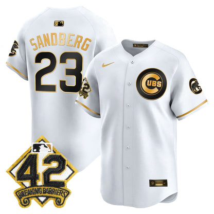Chicago Cubs 2025 Jackie Robinson Patch Vapor Premier Limited Jersey - All Stitched